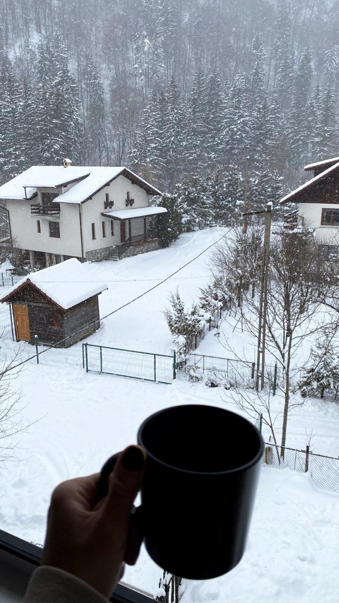 Queen'S Heart Guesthouse 布朗 外观 照片